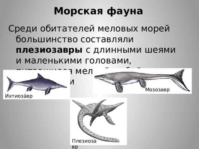 Морская фауна Среди обитателей меловых морей большинство составляли плезиозавры с длинными шеями и маленькими головами, питавшиеся мелкой рыбой и моллюсками Мозозавр Ихтиоза́вр Плезиозавр 