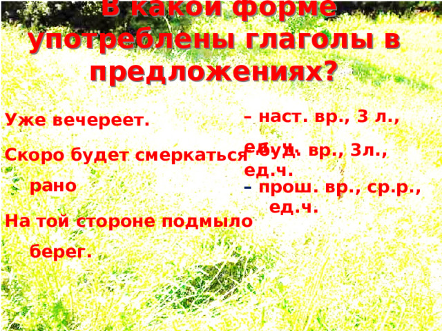  В какой форме употреблены глаголы в предложениях? – наст. вр., 3 л., ед. ч. Уже вечереет. Скоро будет смеркаться рано На той стороне подмыло берег.  – буд. вр., 3л., ед.ч. – прош. вр., ср.р., ед.ч.  