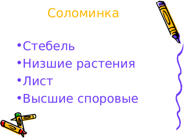 Соломинка   Стебель Низшие растения Лист Высшие споровые 