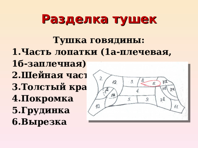 Разделка тушек Тушка говядины: 1.Часть лопатки (1а-плечевая, 1б-заплечная) 2.Шейная часть 3.Толстый край 4.Покромка 5.Грудинка 6.Вырезка   