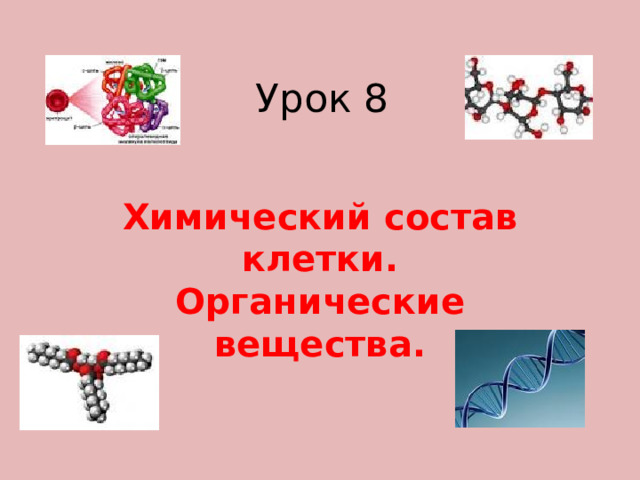 Урок 8 Химический состав клетки. Органические вещества. 