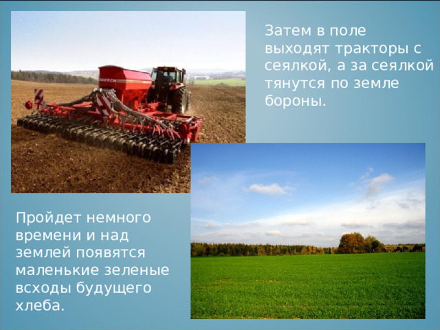 Затем в поле выходят тракторы с сеялкой, а за сеялкой тянутся по земле бороны. Пройдет немного времени и над землей появятся маленькие зеленые всходы будущего хлеба. 