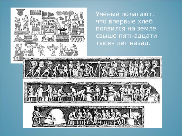 Ученые полагают, что впервые хлеб появился на земле свыше пятнадцати тысяч лет назад. 