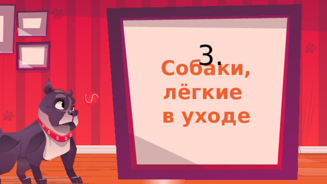 3. Собаки, лёгкие  в уходе 