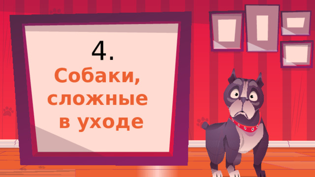 4. Собаки,  сложные  в уходе 