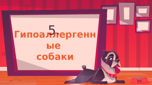 5. Гипоаллергенные  собаки 