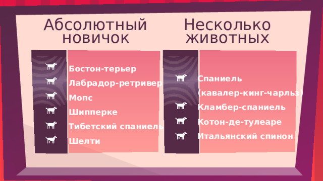 Несколько Абсолютный  новичок животных Бостон-терьер Лабрадор-ретривер Мопс Шипперке Тибетский спаниель Шелти Спаниель (кавалер-кинг-чарльз) Кламбер-спаниель Котон-де-тулеаре Итальянский спинон 