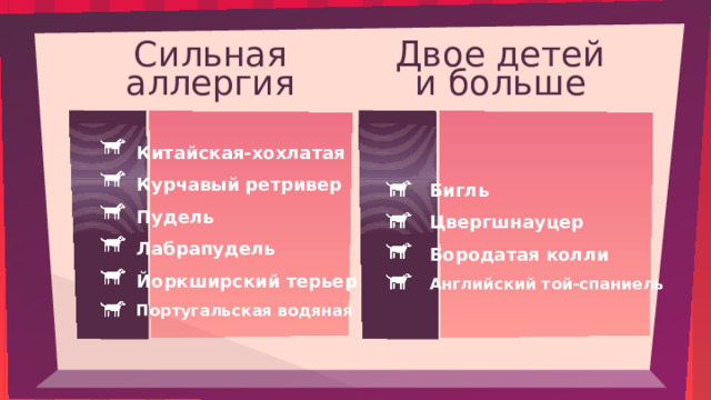 Двое детей Сильная  аллергия и больше Китайская-хохлатая Курчавый ретривер Пудель Лабрапудель Йоркширский терьер Португальская водяная Бигль Цвергшнауцер Бородатая колли Английский той-спаниель 