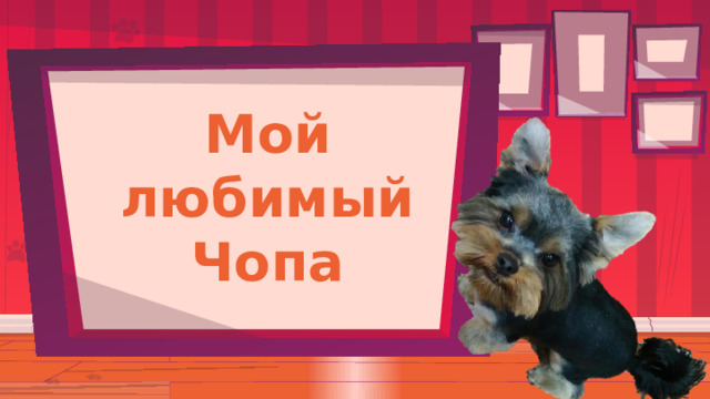 Мой любимый Чопа 