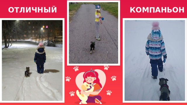 КОМПАНЬОН ОТЛИЧНЫЙ 