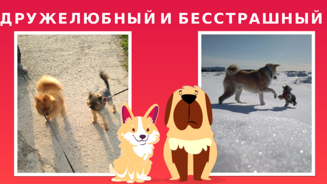 И ДРУЖЕЛЮБНЫЙ БЕССТРАШНЫЙ 