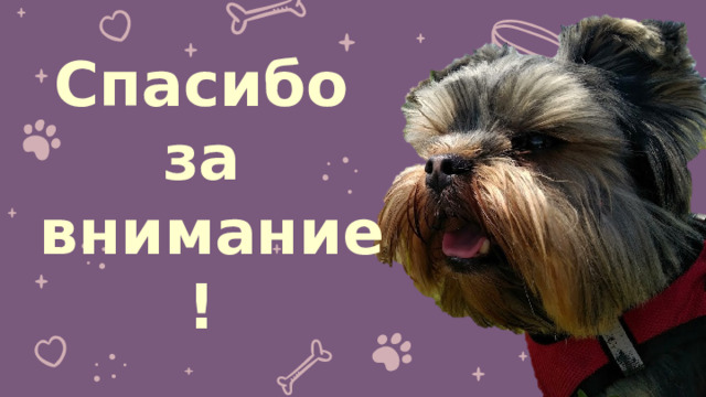 Спасибо  за  внимание! 