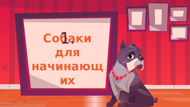 1. Собаки для начинающих 