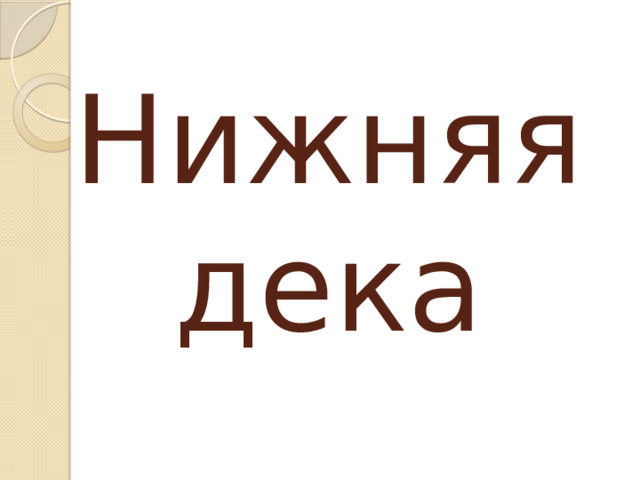 Нижняя дека 