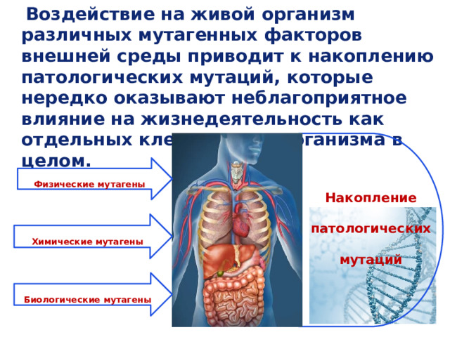 Мутагенные факторы среды