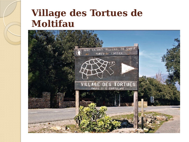 Village des Tortues de Moltifau 