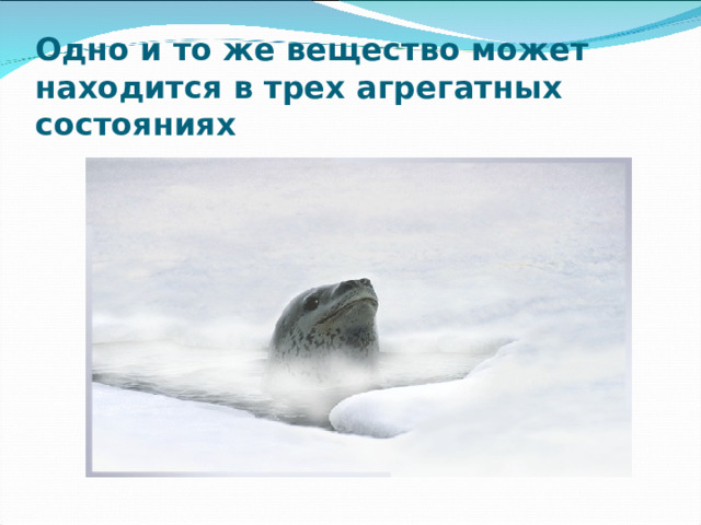 Одно и то же вещество может находится в трех агрегатных состояниях 