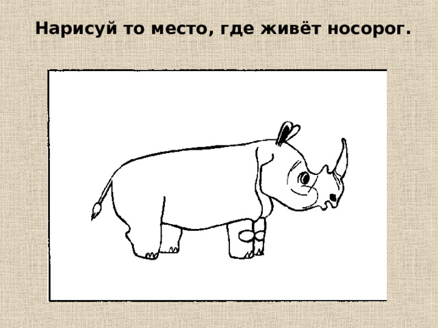 Нарисуй то место, где живёт носорог. 