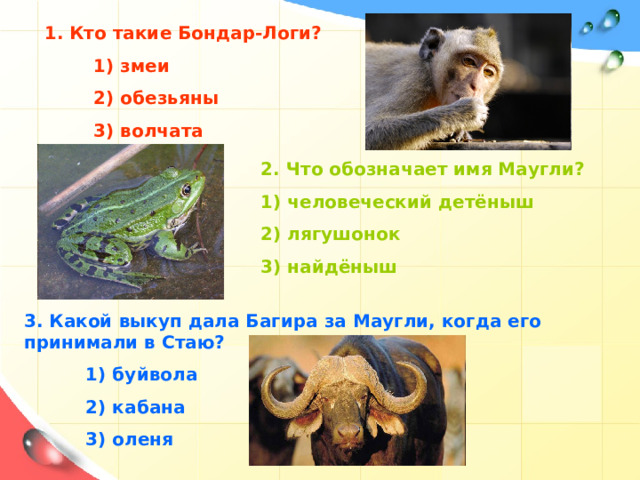 1. Кто такие Бондар-Логи?  1) змеи  2) обезьяны  3) волчата 2. Что обозначает имя Маугли? 1) человеческий детёныш 2) лягушонок 3) найдёныш 1. Кто такие Бандар-Логи? 1) змеи; 2) обезьяны; 3) волчата. 2. Что обозначает имя Маугли? 1) человеческий детеныш; 2 ) лягушонок; 3) найденыш. 3. Какой выкуп дала Багира за Маугли, когда его принимали в Стаю? 1) буйвола; 2) кабана; 3) оленя. 3. Какой выкуп дала Багира за Маугли, когда его принимали в Стаю?  1) буйвола  2) кабана  3) оленя 16 