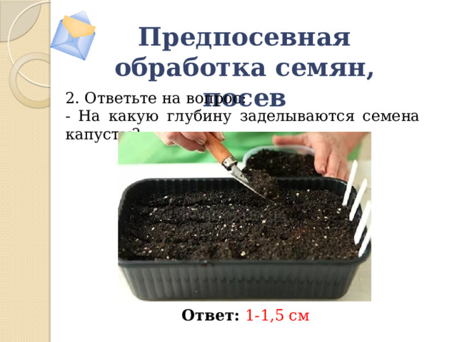 Предпосевная обработка семян, посев 2. Ответьте на вопрос: - На какую глубину заделываются семена капусты? Ответ:  1-1,5 см 