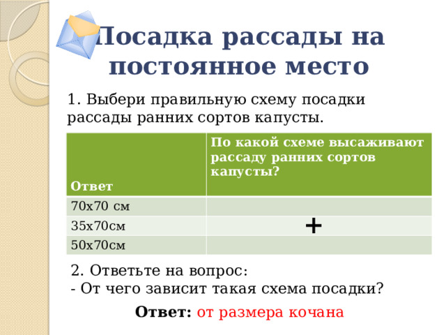 Посадка рассады на постоянное место 1. Выбери правильную схему посадки рассады ранних сортов капусты.   По какой схеме высаживают рассаду ранних сортов капусты? 70х70 см  35х70см Ответ 50х70см + 2. Ответьте на вопрос: - От чего зависит такая схема посадки? Ответ:  от размера кочана 