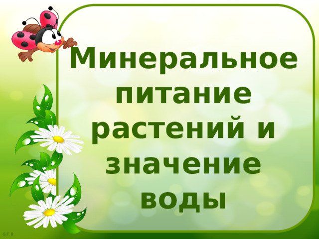 Минеральное питание растений и значение воды 