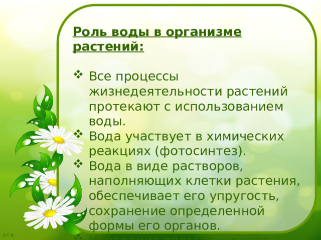 Роль воды в организме растений:  Все процессы жизнедеятельности растений протекают с использованием воды. Вода участвует в химических реакциях (фотосинтез). Вода в виде растворов, наполняющих клетки растения, обеспечивает его упругость, сохранение определенной формы его органов. Испарение воды защищает организм растения от перегрева. 
