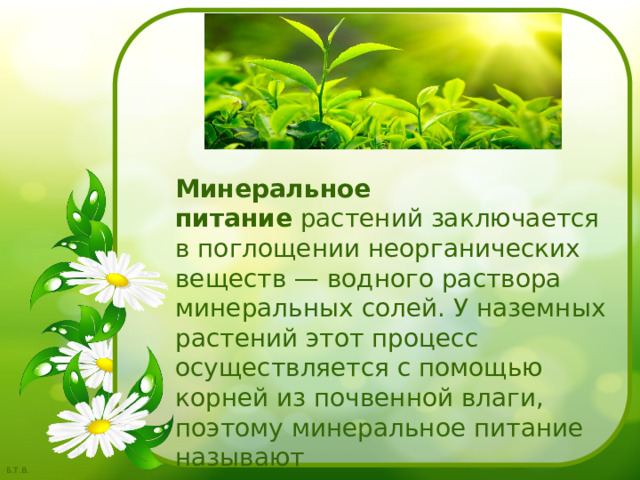  Минеральное питание  растений заключается в поглощении неорганических веществ — водного раствора минеральных солей. У наземных растений этот процесс осуществляется с помощью корней из почвенной влаги, поэтому минеральное питание называют также  корневым  или  почвенным .  