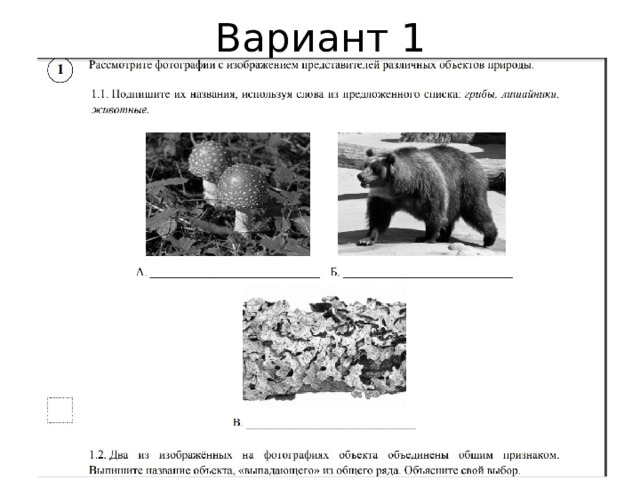 Вариант 1 Правильный ответ должен содержать следующие элементы: 1) «выпадающий» из логического ряда объект: животные; 2) объяснение, например: способны к активному передвижению / имеют ограниченный рост. ИЛИ 1) «выпадающий» из логического ряда объект: лишайники; 2) объяснение, например: образованы грибами и водорослями (бактериями). 