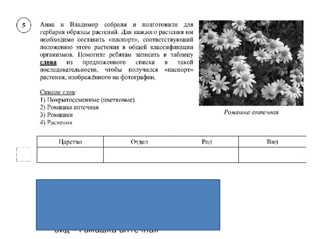 Описание осота по следующему плану. Биология 5 класс программа.