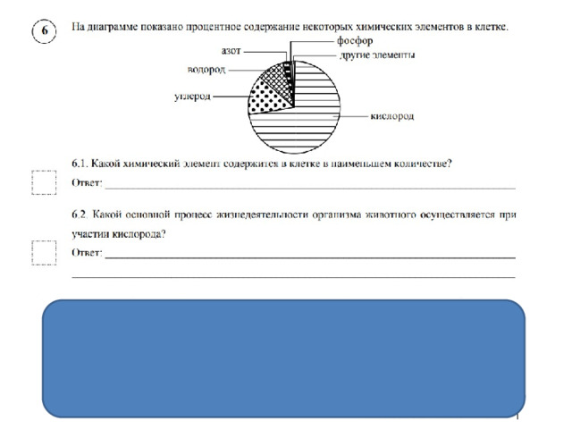 Какую среду обитания освоил скорпион впр