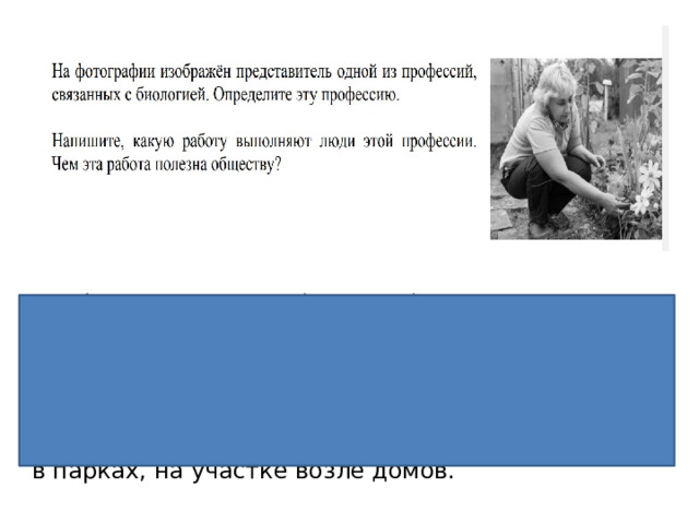 Профессия: цветовод/садовод/ садовник/флорист/ландшафтный дизайнер 2. Работа, которую выполняют люди данной профессии: высаживают растения (цветы) и ухаживают за ними. 3. Польза: помогают создавать красоту на улицах, в парках, на участке возле домов. 