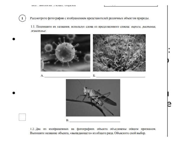 Правильный ответ должен содержать следующие элементы: 1) «выпадающий» из логического ряда объект: вирусы; 2) объяснение, например: вирусы не имеют клеточного строения/не проявляют признаков жизни (кроме размножения). 