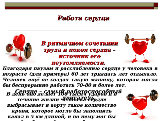 Работа сердца В ритмичном сочетании труда и покоя сердца – источник его неутомляемости. Благодаря паузам и расслаблению сердце у человека в возрасте (для примера) 60 лет тридцать лет отдыхало. Человек ещё не создал такую машину, которая могла бы беспрерывно работать 70-80 и более лет. Сердце – самый работоспособный в мире двигатель.  В день оно делает 100 тысяч ударов и в течение жизни человека сердце выбрасывает в аорту такое количество крови, которое могло бы заполнить канал в 5 км длиной, и по нему мог бы пройти большой волжский теплоход. 