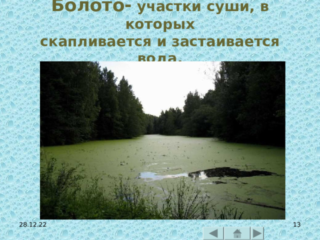 Болото- участки суши, в которых  скапливается и застаивается  вода. 28.12.22  