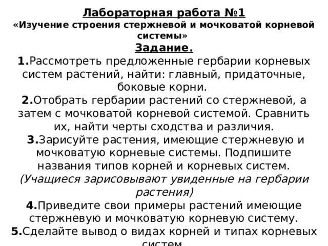 Лабораторная работа №1 «Изучение строения стержневой и мочковатой корневой системы» Задание. 1. Рассмотреть предложенные гербарии корневых систем растений, найти: главный, придаточные, боковые корни. 2. Отобрать гербарии растений со стержневой, а затем с мочковатой корневой системой. Сравнить их, найти черты сходства и различия.  3. Зарисуйте растения, имеющие стержневую и мочковатую корневые системы. Подпишите названия типов корней и корневых систем. (Учащиеся зарисовывают увиденные на гербарии растения) 4. Приведите свои примеры растений имеющие стержневую и мочковатую корневую систему. 5. Сделайте вывод о видах корней и типах корневых систем. 