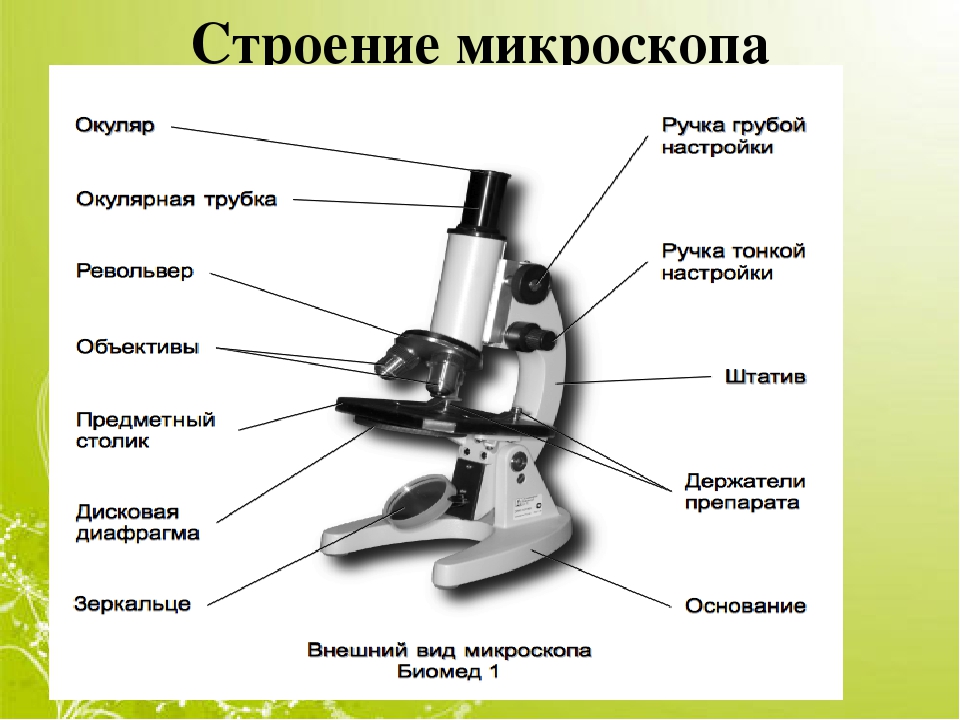 Какое увеличение у цифрового микроскопа. Микроскоп строение микроскопа. Строение микроскопа макровинт. Оптический микроскоп строение. Строение микроскопа Микмед.