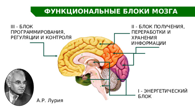Как снять блоки мозга