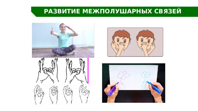 РАЗВИТИЕ МЕЖПОЛУШАРНЫХ СВЯЗЕЙ 