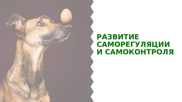 Развитие саморегуляции и самоконтроля 
