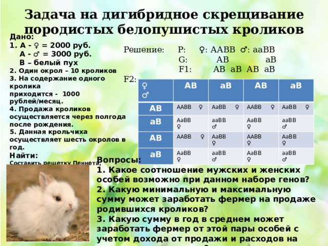 Дигибридное скрещивание презентация 10 класс. Кролик биология.