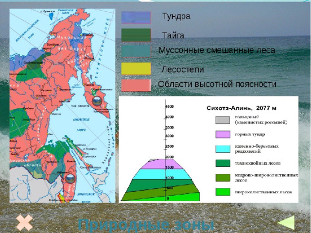 Карта природных зон хабаровского края