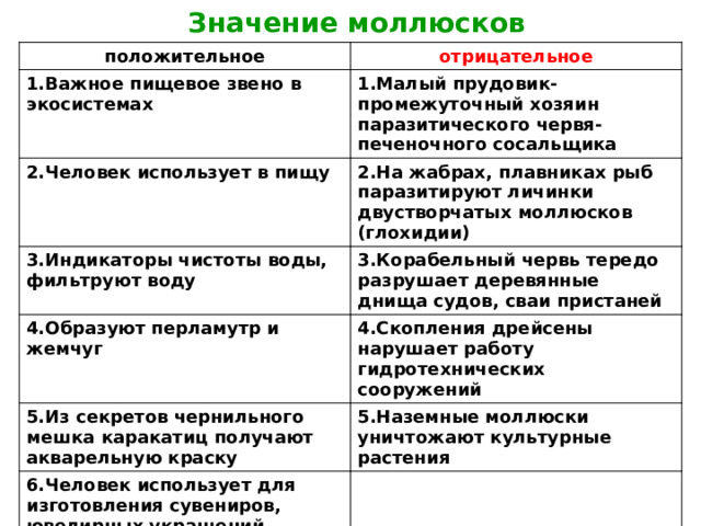 Значение моллюсков положительное отрицательное 1.Важное пищевое звено в экосистемах 1.Малый прудовик- промежуточный хозяин паразитического червя- печеночного сосальщика 2.Человек использует в пищу 2.На жабрах, плавниках рыб паразитируют личинки двустворчатых моллюсков (глохидии) 3.Индикаторы чистоты воды, фильтруют воду 3.Корабельный червь тередо разрушает деревянные днища судов, сваи пристаней 4.Образуют перламутр и жемчуг 4.Скопления дрейсены нарушает работу гидротехнических сооружений 5.Из секретов чернильного мешка каракатиц получают акварельную краску 5.Наземные моллюски уничтожают культурные растения 6.Человек использует для изготовления сувениров, ювелирных украшений 