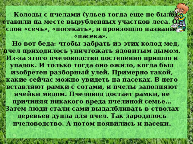  Колоды с пчелами (ульев тогда еще не было) ставили на месте вырубленных участков леса. От слов «сечь», «посекать», и произошло название «пасека».   Но вот беда: чтобы забрать из этих колод мед, пчел приходилось уничтожать ядовитым дымом. Из-за этого пчеловодство постепенно пришло в упадок. И только тогда оно ожило, когда был изобретен разборный улей. Примерно такой, какие сейчас можно увидеть на пасеках. В него вставляют рамки с сотами, и пчелы заполняют ячейки медом. Пчеловод достает рамки, не причиняя никакого вреда пчелиной семье…  Затем люди стали сами выдалбливать в стволах деревьев дупла для пчел. Так зародилось пчеловодство. А потом появились и пасеки . 