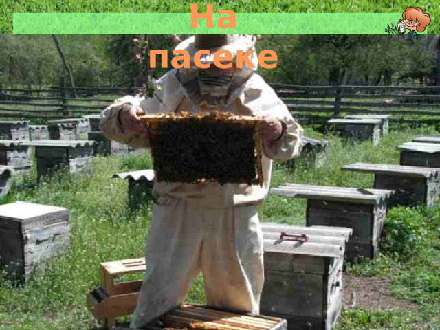 На пасеке 