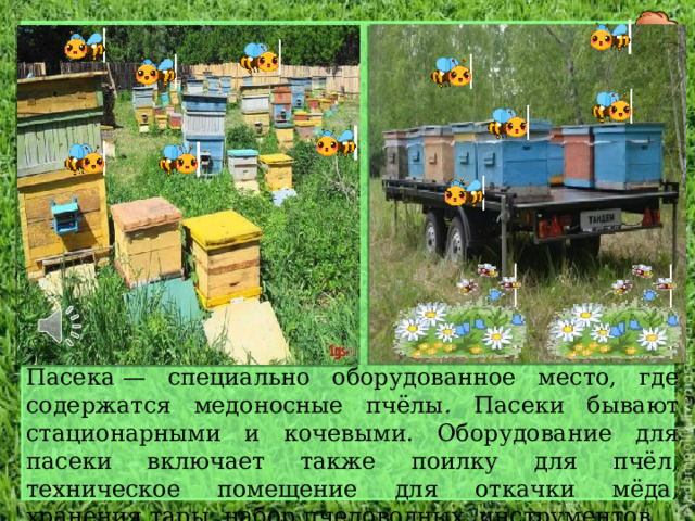 Пасека — специально оборудованное место, где содержатся медоносные пчёлы . Пасеки бывают стационарными и кочевыми. Оборудование для пасеки включает также поилку для пчёл, техническое помещение для откачки мёда, хранения тары, набор пчеловодных инструментов. 6 