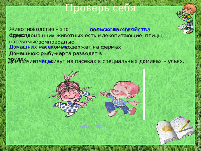 Проверь себя сельского хозяйства Животноводство – это отрасль промышленности.  Среди домашних животных есть млекопитающие, птицы,  насекомые, земноводные.  Домашних животных содержат на фермах.  Домашних насекомых  Домашнюю рыбу-карпа разводят в прудах.  Домашние  птицы  живут на пасеках в специальных домиках – ульях. пчёлы молодец! 