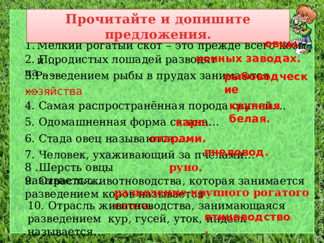 Прочитайте и допишите предложения. Мелкий рогатый скот – это прежде всего козы и … овцы.  конных заводах. 2. Породистых лошадей разводят на …. 3.Разведением рыбы в прудах занимаются …. рыбоводческие  хозяйства. крупная белая. 4. Самая распространённая порода свиней…. 5. Одомашненная форма сазана… карп. 6. Стада овец называются … отарами. пчеловод. 7. Человек, ухаживающий за пчёлами… 8 .Шерсть овцы называется… руно. 9. Отрасль животноводства, которая занимается разведением коров называется разведение крупного рогатого скота. 10. Отрасль животноводства, занимающаяся разведением кур, гусей, уток, индеек называется… птицеводство. 