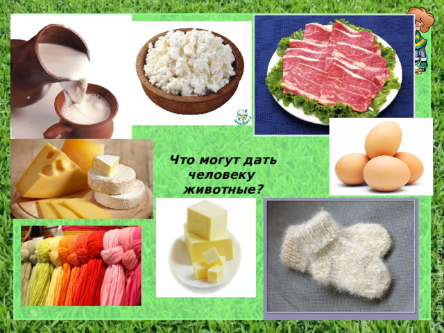 Что могут дать человеку животные? 