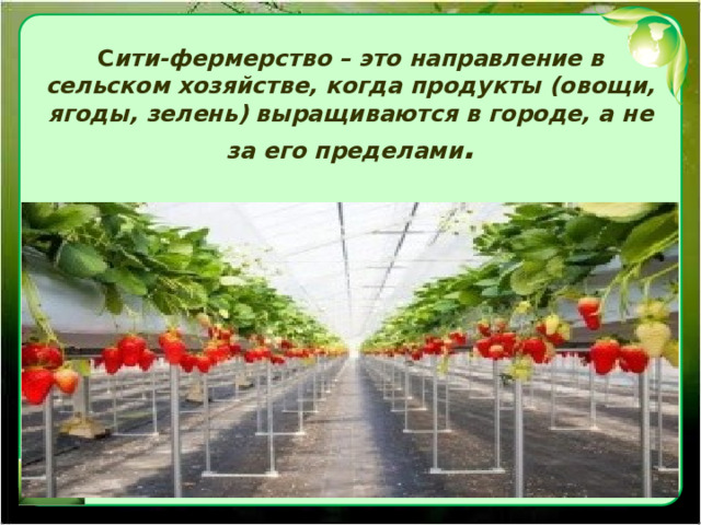  С ити-фермерство – это направление в сельском хозяйстве, когда продукты (овощи, ягоды, зелень) выращиваются в городе, а не за его пределами . 